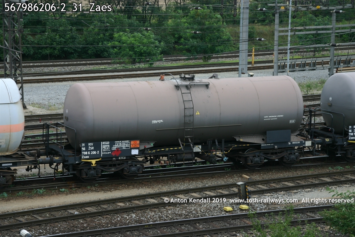 567986206-2_31_Zaes.jpg